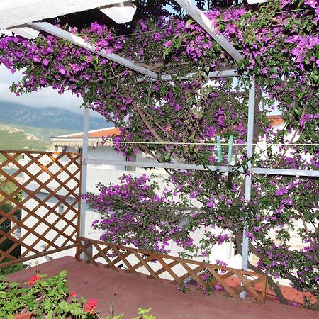 Apartment Sandra Budva Room photo